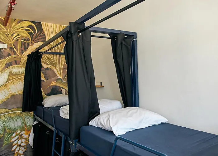 Jungle Jaffa Hostel Age 18 To 45